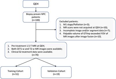 Pretreatment Prediction of Adaptive Radiation Therapy Eligibility Using MRI-Based Radiomics for Advanced Nasopharyngeal Carcinoma Patients